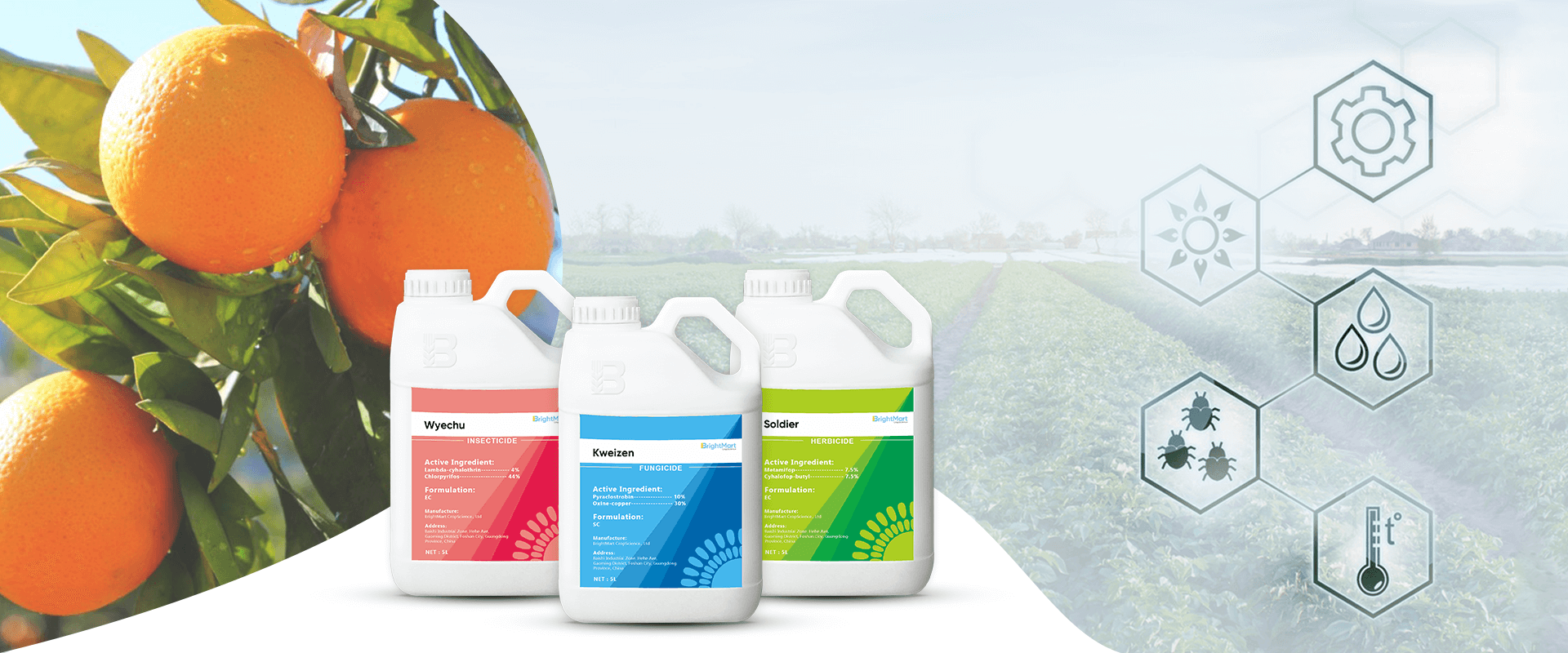 What Is EC And SC in Pesticides?