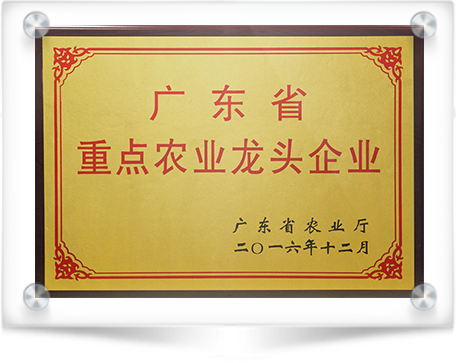 Award of Famous Brand of Guangdong Province 2016