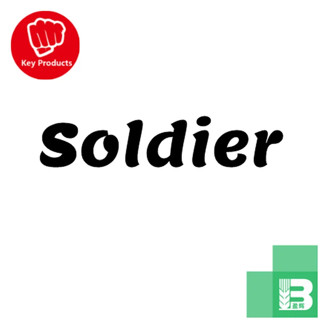  Soldier