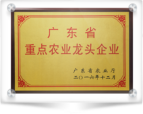 Award of key agricultural leading enterprises of Guangdong 2016