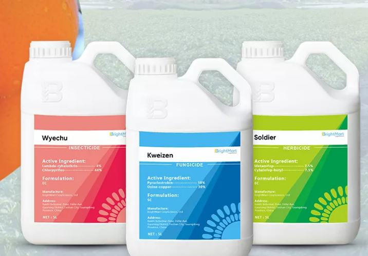 insecticide insecticide