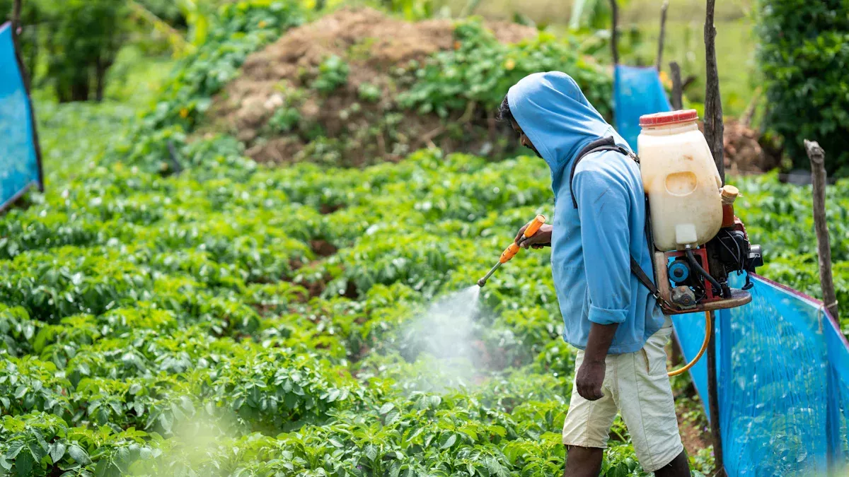 Why Do We Need To Study Crop Protection?