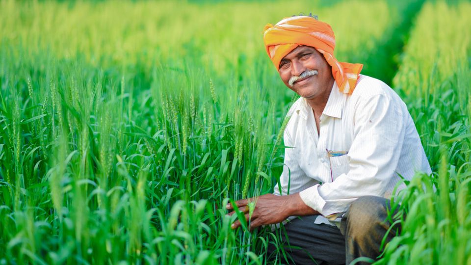 India's agricultural output ranks second globally, using only 2% of the total global consumption of agrochemicals.