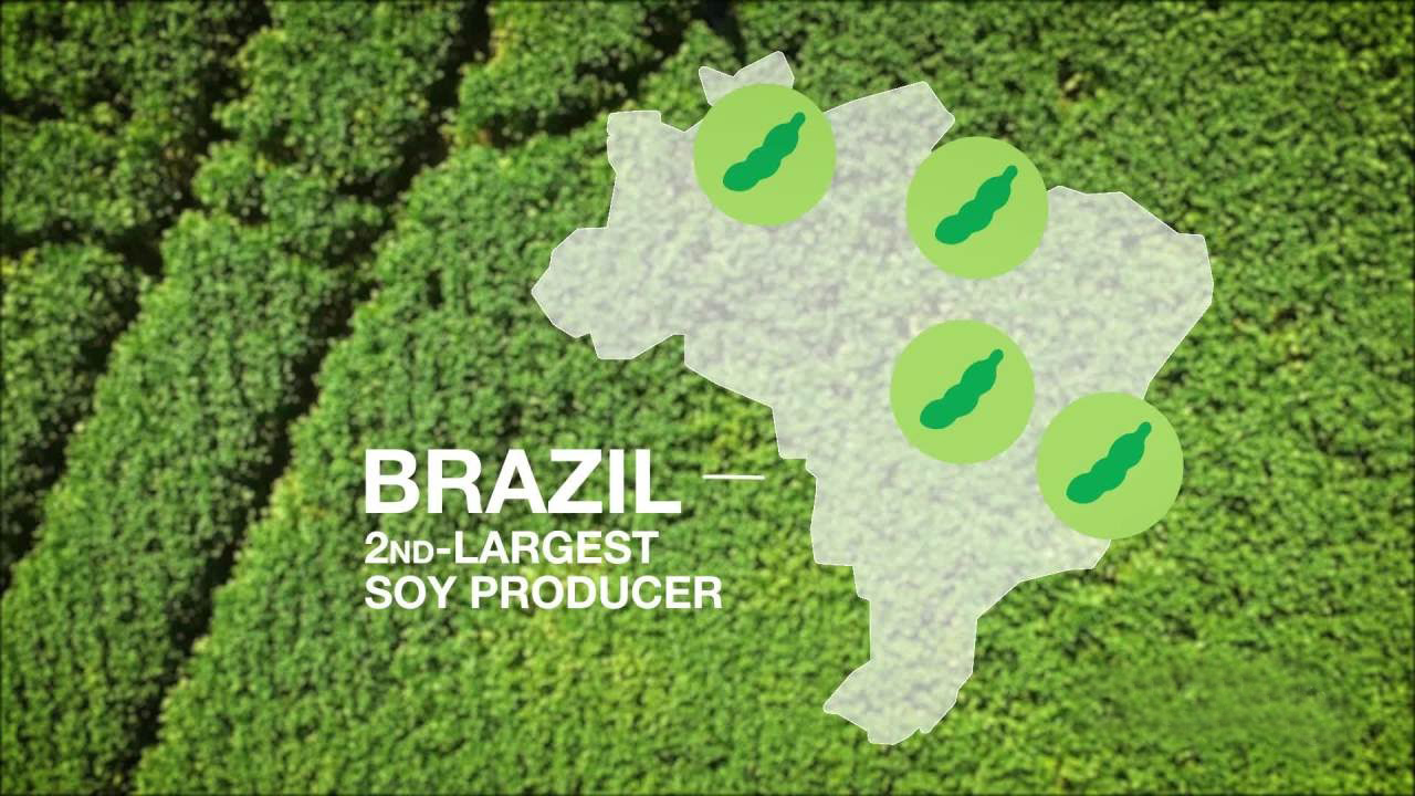 China buys 70% of Brazil's soybean exports