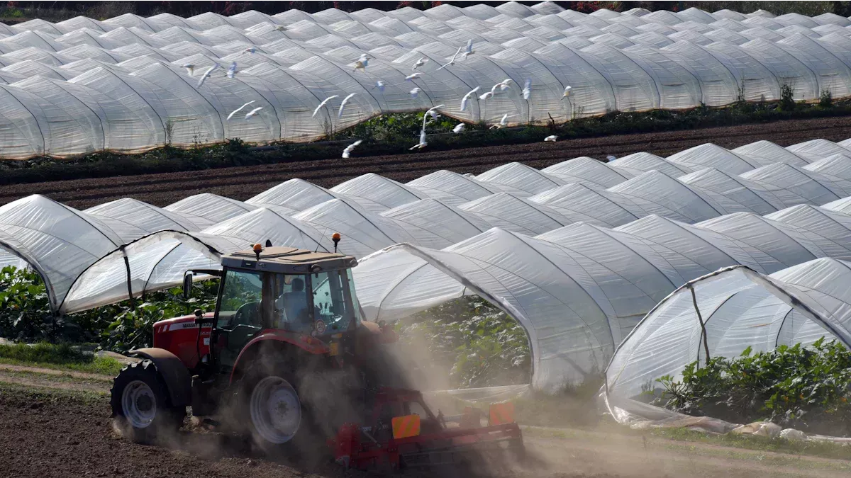 What You Need to Know About Crop Protection